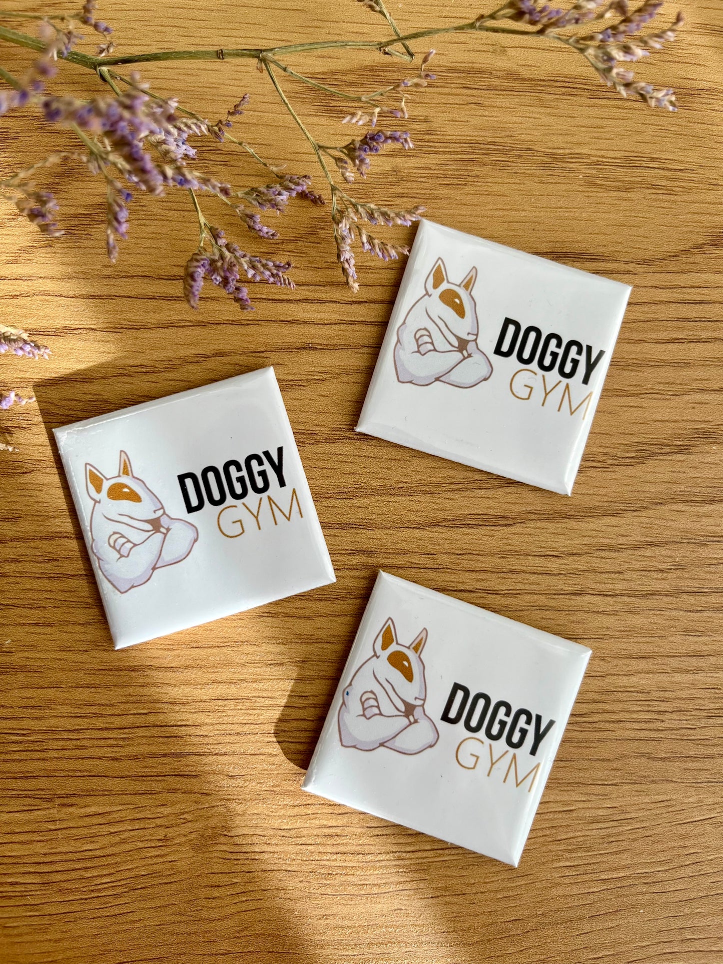 Nuotraukų magnetukai