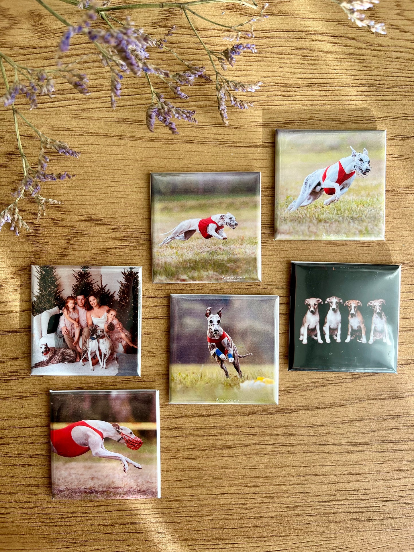 Nuotraukų magnetukai